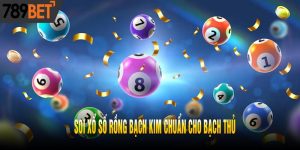 Soi Xổ Số Rồng Bạch Kim Chuẩn Cho Bạch Thủ