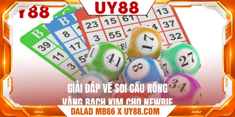 Giải đáp về soi cầu rồng vàng bạch kim cho newbie Giải đáp về soi cầu rồng vàng bạch kim cho newbie