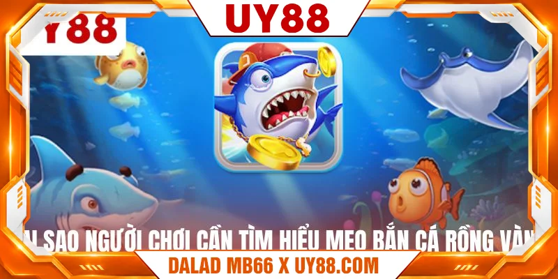 Tại sao người chơi cần tìm hiểu mẹo bắn cá rồng vàng Tại sao người chơi cần tìm hiểu mẹo bắn cá rồng vàng