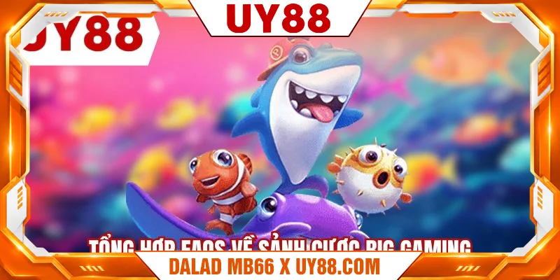 Tổng hợp FAQs về sảnh cược Big Gaming Tổng hợp FAQs về sảnh cược Big Gaming