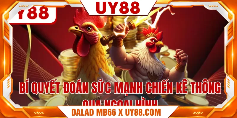 Bí quyết đoán sức mạnh chiến kê thông qua ngoại hình Bí quyết đoán sức mạnh chiến kê thông qua ngoại hình
