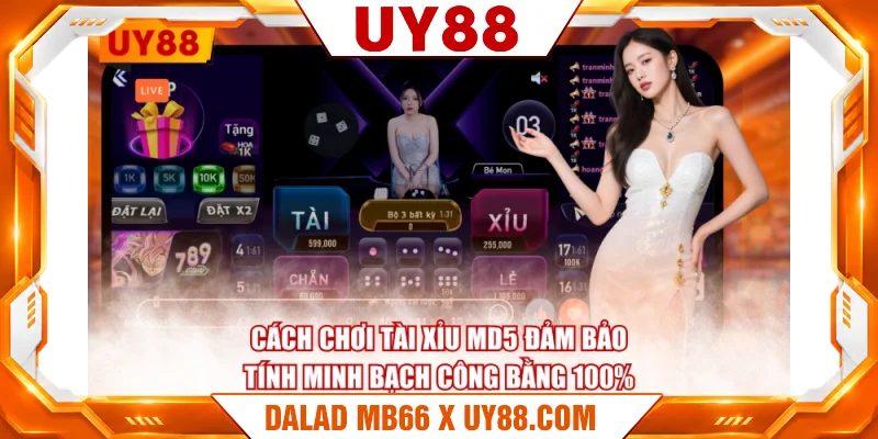Cách chơi Tài Xỉu MD5 đảm bảo tính minh bạch công bằng 100%