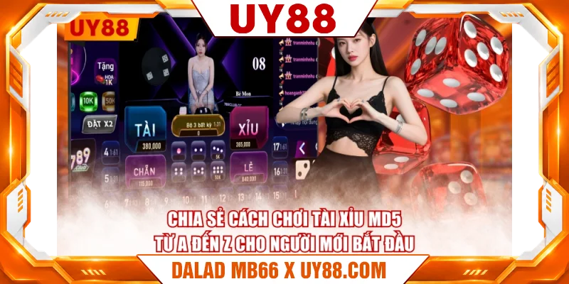 Chia sẻ cách chơi Tài Xỉu MD5 từ A đến Z cho người mới bắt đầu