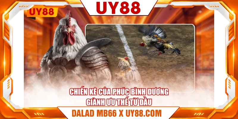 Chiến kê của Phúc Bình Dương giành ưu thế từ đầu Chiến kê của Phúc Bình Dương giành ưu thế từ đầu