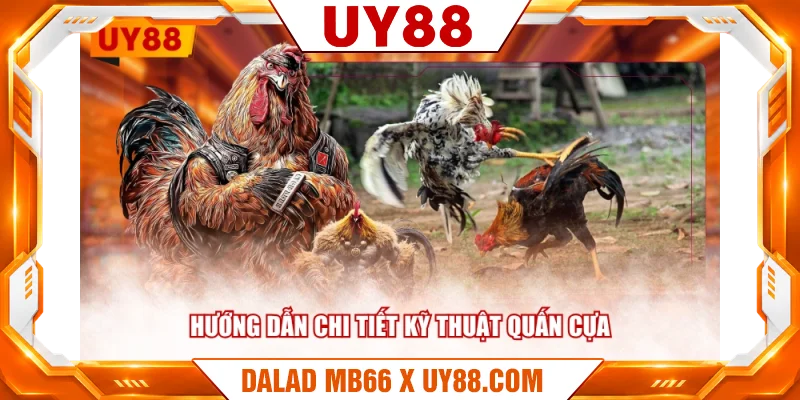 Hướng dẫn chi tiết kỹ thuật quấn cựa