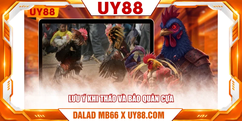 Lưu ý khi tháo và bảo quản cựa