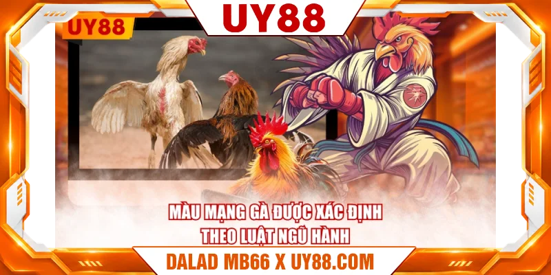 Màu mạng gà được xác định theo luật ngũ hành