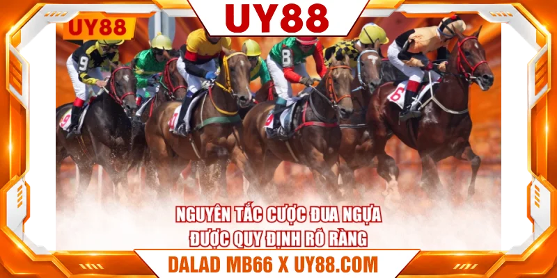 Nguyên tắc cược đua ngựa được quy định rõ ràng Nguyên tắc cược đua ngựa được quy định rõ ràng