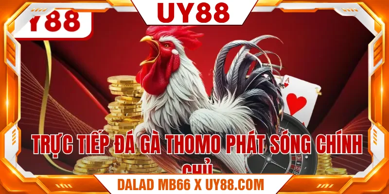 Trực tiếp đá gà Thomo phát sóng chính chủ Trực tiếp đá gà Thomo phát sóng chính chủ